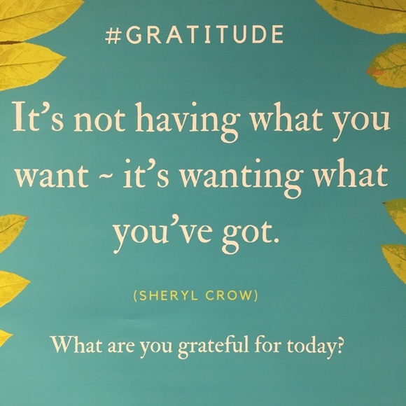 Meet your Posher, Mimi! - Picture 3 of 4